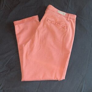 AG capri trousers